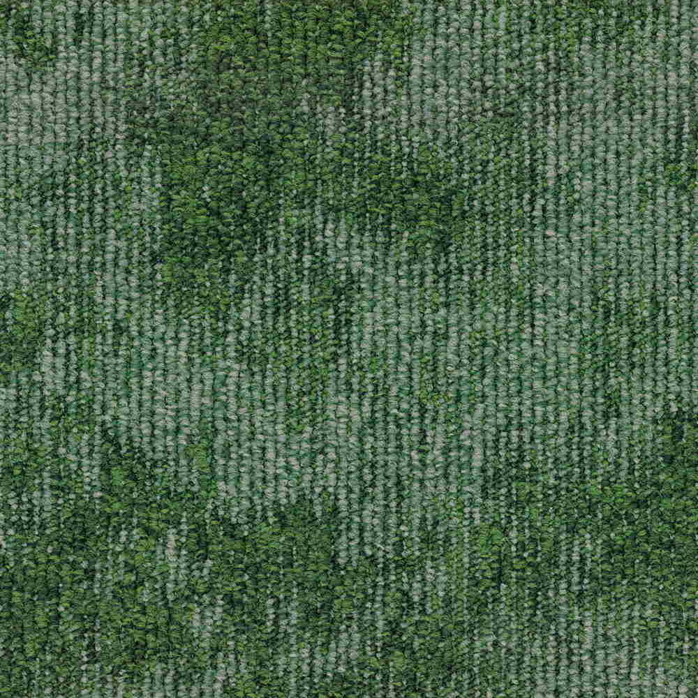 Pine 617