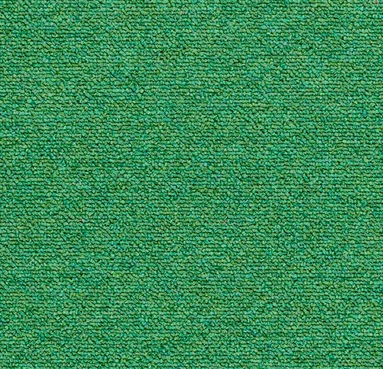 Menthe