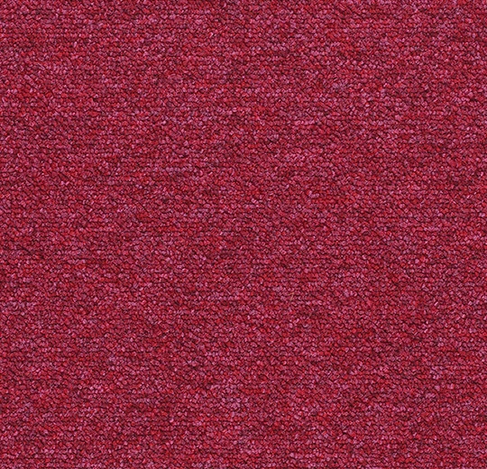 Maraschino