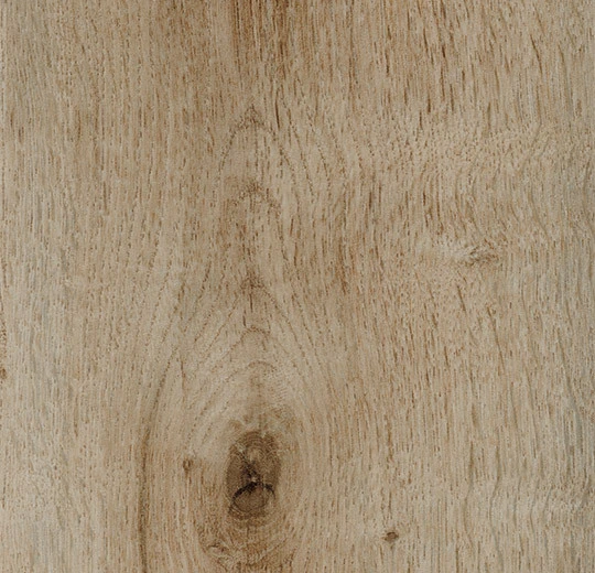 Golden Harvest Oak