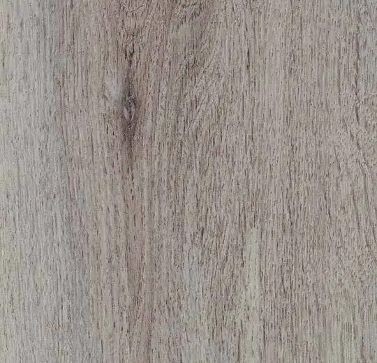 Winter Harvest Oak