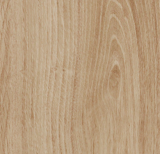 Honey Authentic Oak