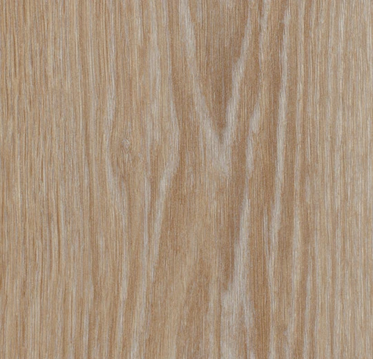 Blond Timber