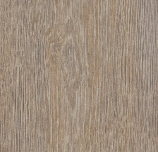 Steamed Oak