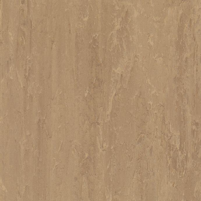 Cambrian Bronze