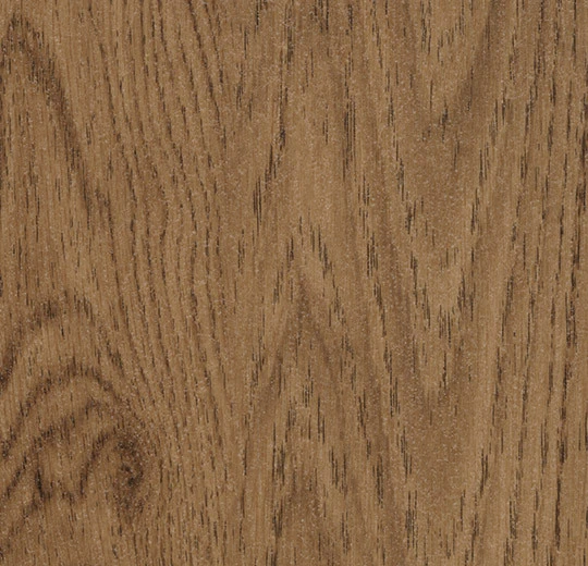 Amber Elegant Oak