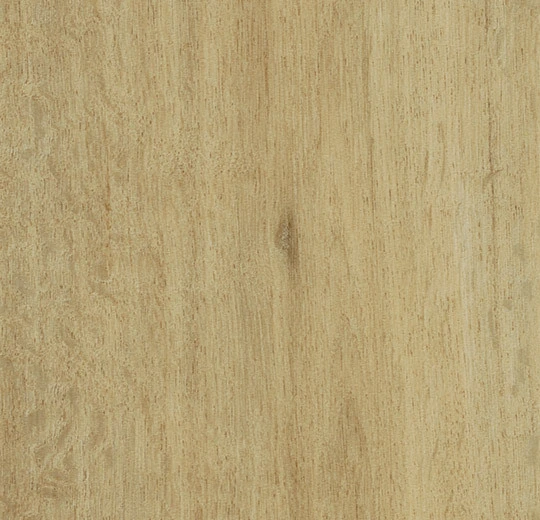 Summer Harvest Oak