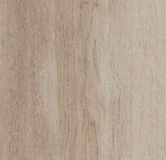 White Autumn Oak