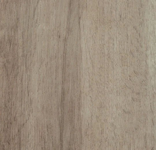Grey Autumn Oak
