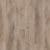Sandstorm Oak