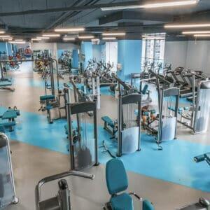 Omnisports Vinyl