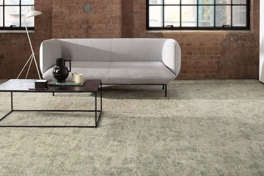 poise-in-situ