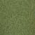 Guyana moss