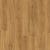 Schoolhouse Oak