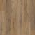 Story Oak