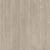 Sun Bleached Oak